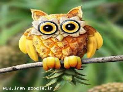 اسانس و رنگ خوراکی طبیعی و سنتتیک