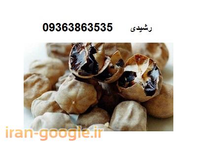 کشمش-فروش مغز گردو در مشهد ، فروش پر لیمو عمانی درجه یک 