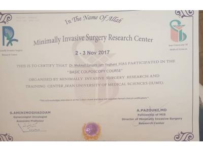 جراح و متخصص زنان و زایمان و نازایی در محدوده سعادت آباد-مطب زنان و زایمان محدوده سعادت آباد