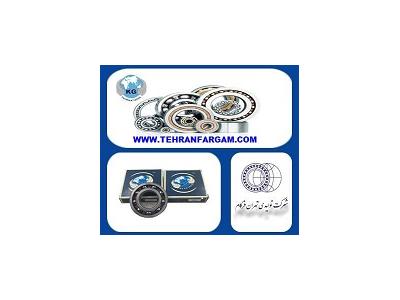 شرکت تولیدی تهران فرگام