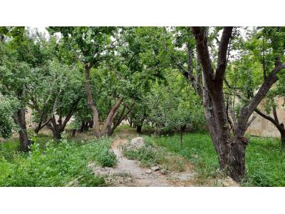 1000 متر باغ در بهترین موقعیت شهریار