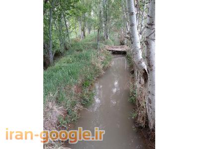 باغ-مزرعه انگور