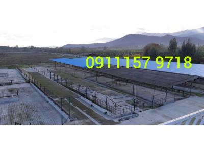 فروش دامداری در مازنداران 