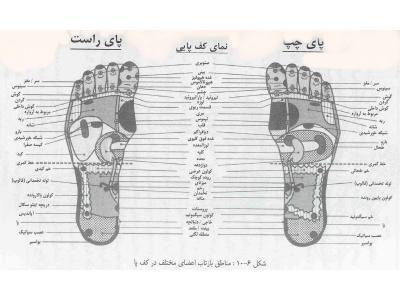 انواع ماساژ لاغری و زیبایی 