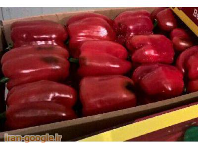 تامین میوه و سیفی جات 