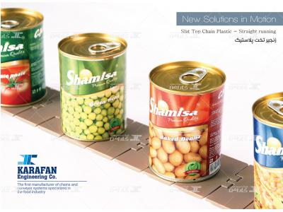 تولید کننده انواع زنجیر های تخت پلاستیک 