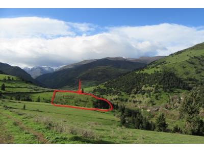 *باغ 10000 متری کنار رود روستا *شمال گیلان *فوری *زیر قیمت *