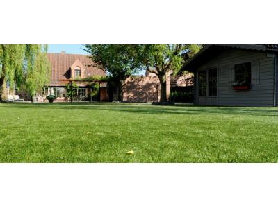 پخش و فروش لوازم دکوراسیون داخلی ساختمان