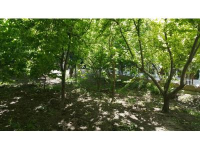 فروش باغ ویلا ۸۰۰ متری در لم آباد ملارد(کد139)