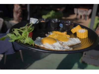 صبحانه کافه 435