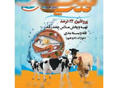 تهیه پخش وفروش ملاس چغندر قند