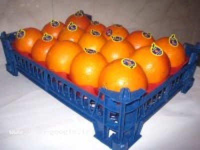 تولید جعبه و سبد پلاستیکی