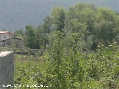 فروش باغ و ویلای بسیار زیبا  در  رشت