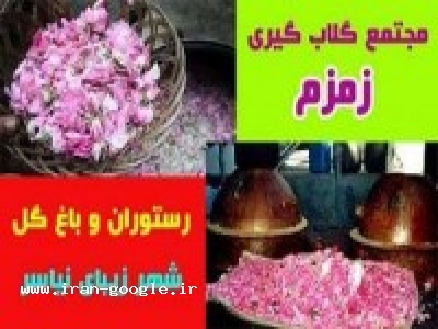 مجتمع گلاب‌ گيری زمزم