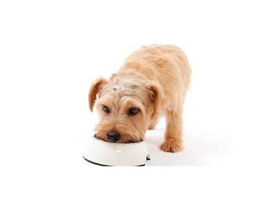 سیم زیپ-غذای خشک سگ
