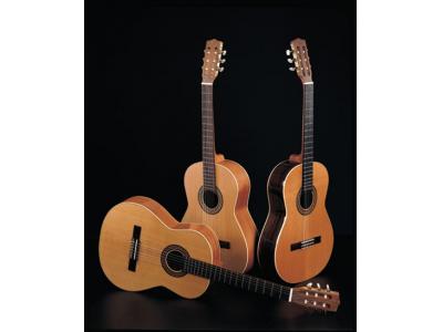 آموزش خصوصی و تضمینی موسیقی,گیتارکلاسیک,پاپ و سازدهنی