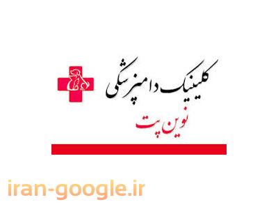 کلینیک دامپزشکی آجودانیه ، دامپزشک آجودانیه 