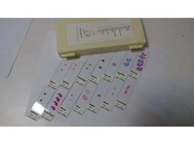 لام های بافت شناسی