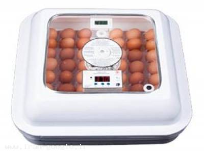 فروش انواع جوجه بوقلمون-دستگاه جوجه کشی 48 تایی