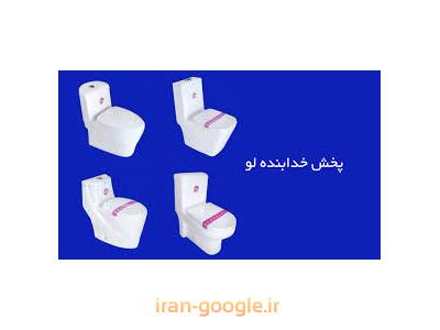 واردات و پخش الکترود و محصولات توالت فرنگی