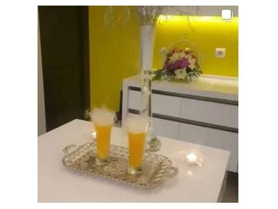 تولید کننده یخ خشک 