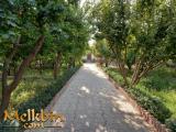 500 متر باغچه چهار دیواری در شهریار