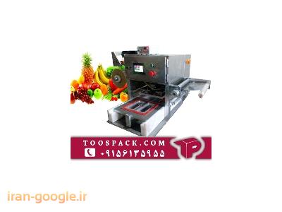 دستگاه بسته بندی میوه