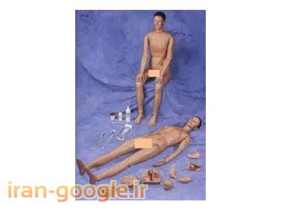 مجتمع فنی آموزشی کیمیا دخت در تهران  آموزش خیاطی بدون پرو