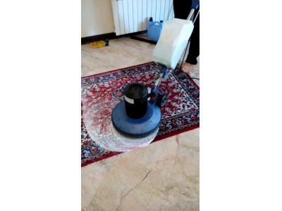 قالیشویی و مبل شویی ای پارا ، شستشو در محل