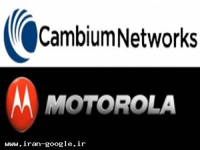 ۱۰۰۰-فروش Motorola , Cambium Networks