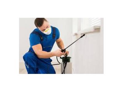 سمپاشي سوسک