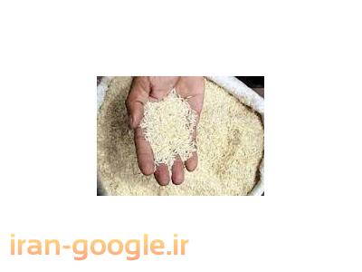 از تولید به مصرف-برنج مرغوب گیلان