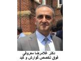 دکتر غلامرضا معروفی فوق تخصص گوارش و کبد  در تهران 
