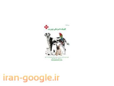 بیمه حیوانات خانگی-کلینیک دامپزشکی آجودانیه ، دامپزشک آجودانیه 