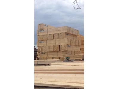 واردات وفروش چوب روسی یولکا و راش