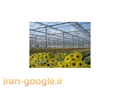 گلخانه-پوشش گلخانه ای تا عرض 12متر-بازرگانی ایرانیان پلیمر