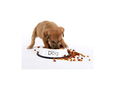 بسته بندی غذا-غذای خشک سگ