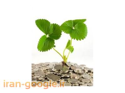 مشارکت و نیاز به سرمایه