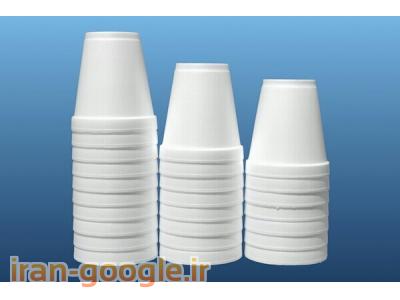 ماشین آلات تولید ظروف یکبارمصرف گیاهی و پلاستیکی، صنعت پلیمر غرب میباشد 