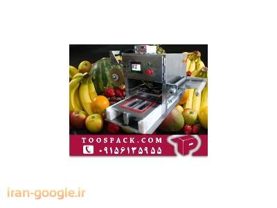 برش استیل-دستگاه بسته بندی میوه