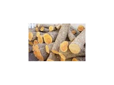 واردات چوب جنگلی‌ راش گرجستان - چوب راش گرجستان  