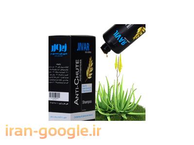 درمان ریزش مو و رویش مجدد مو گیاهی ژیوار