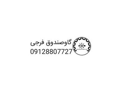 فروش اینترنتی گاوصندوق ایرانی و کره ای