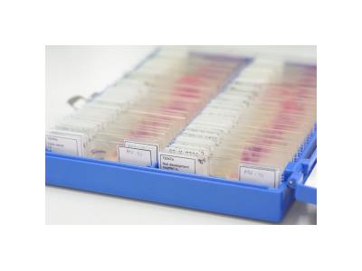 لام های بافت شناسی