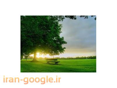 فروشگاه اینترنتی  بهار         وب سایت           mahor-m.ir