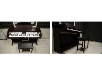 آموزشگاه موسیقی سورنا در غرب تهران 