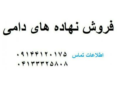 فروش نهاده های دامی