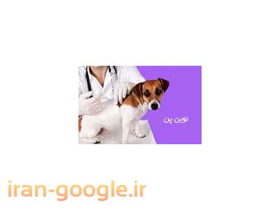 لوازم حیوانات خانگی-کلینیک دامپزشکی آجودانیه ، دامپزشک آجودانیه 