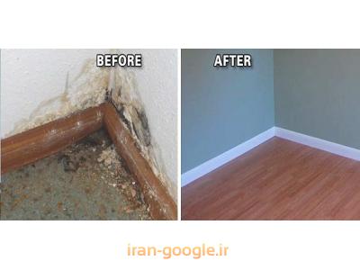 باز سازی و نوسازی