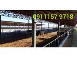 فروش دامداری در مازنداران 